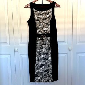WHBM Color-block Sleeveless Sheath Dress